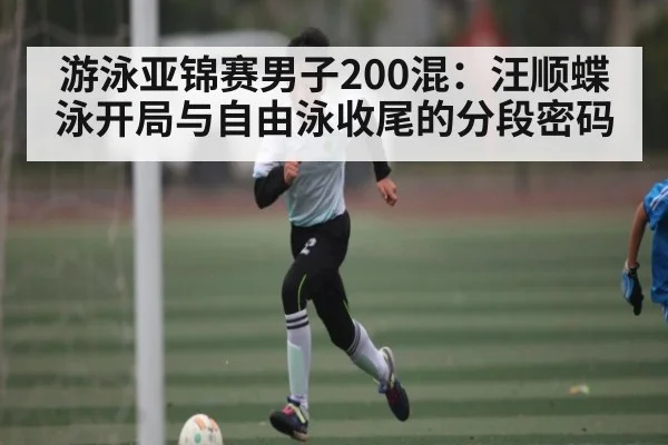 游泳亚锦赛男子200混:汪顺蝶泳开局与自由泳收尾的分段密码